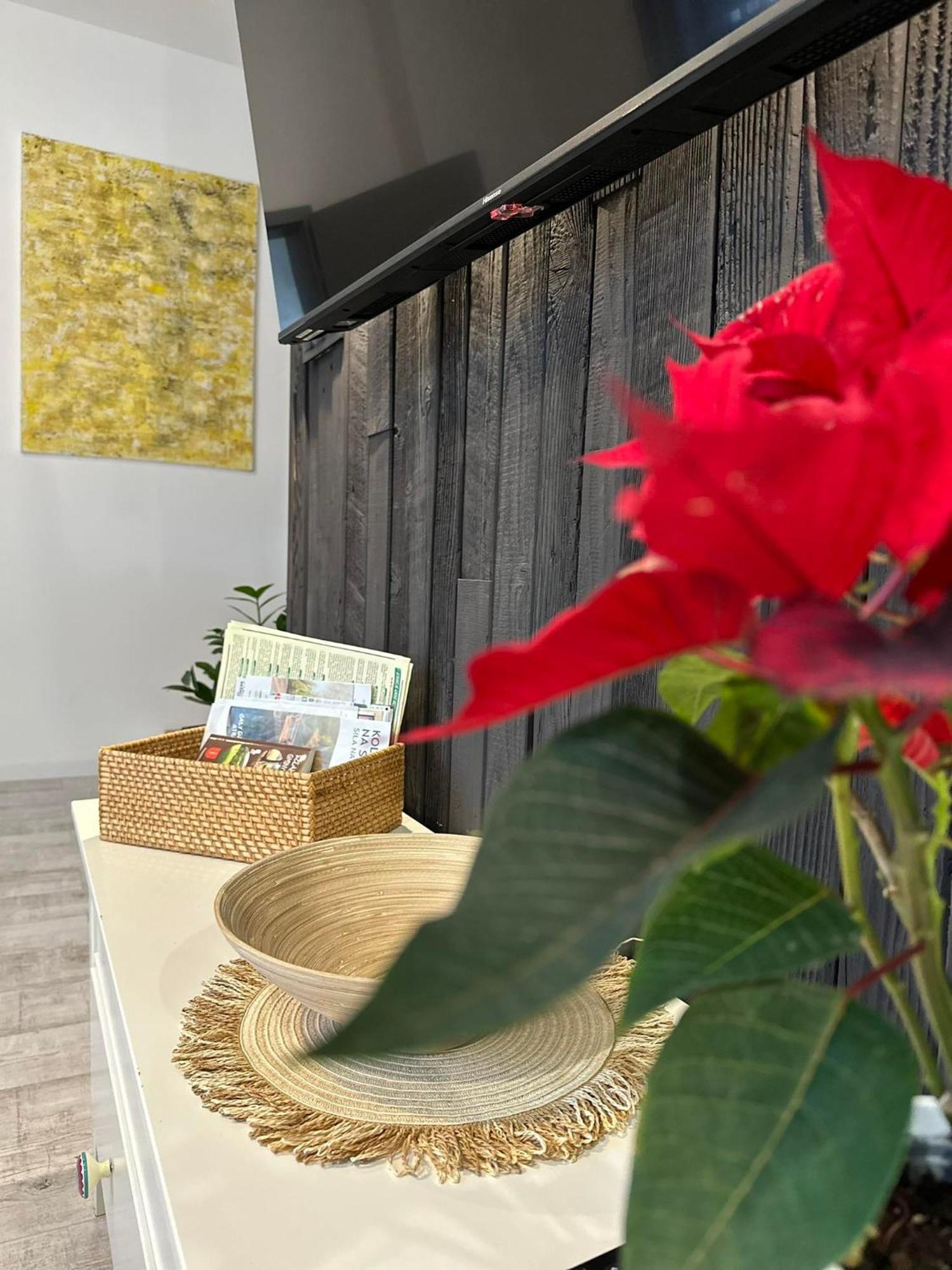 Apartament Fajny Kat Ustrzyki Dolne Dış mekan fotoğraf